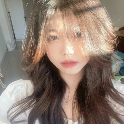 一鸣惊人之以梦为马
